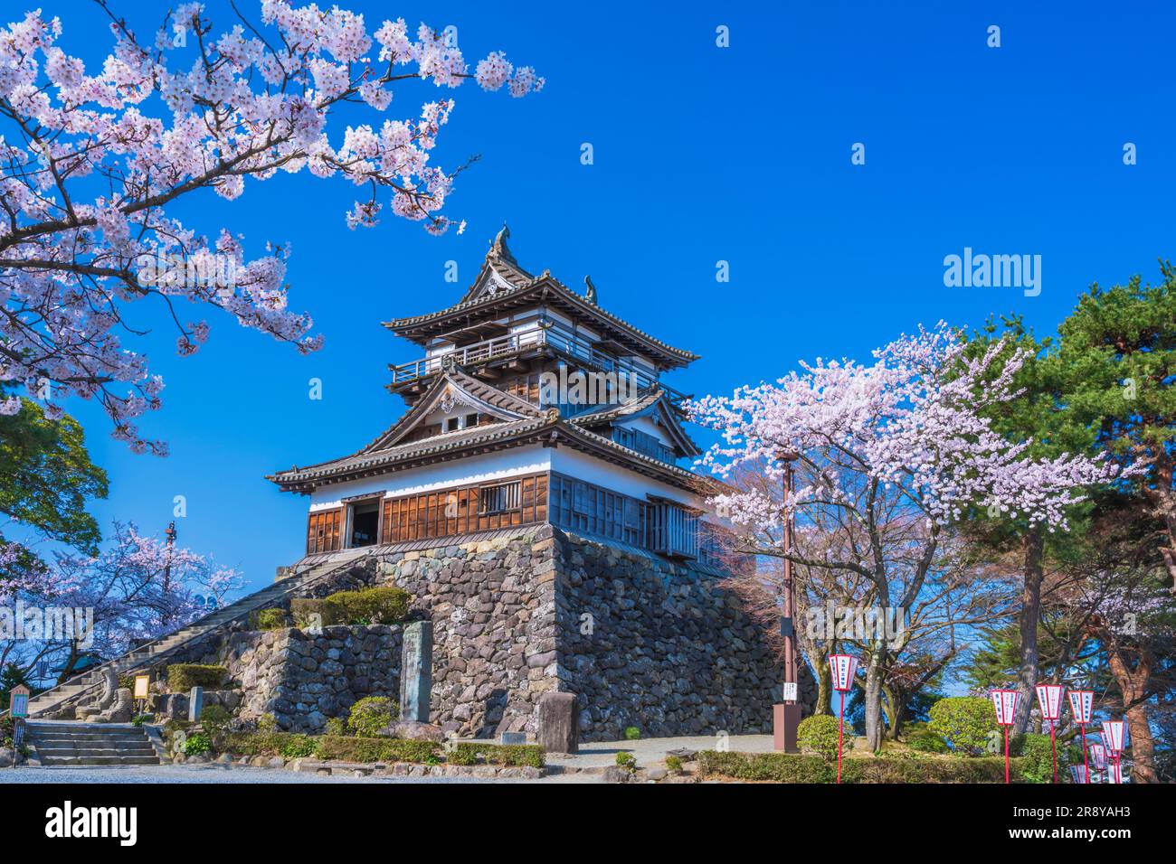 Château de Maruoka et cerisiers en fleurs Banque D'Images