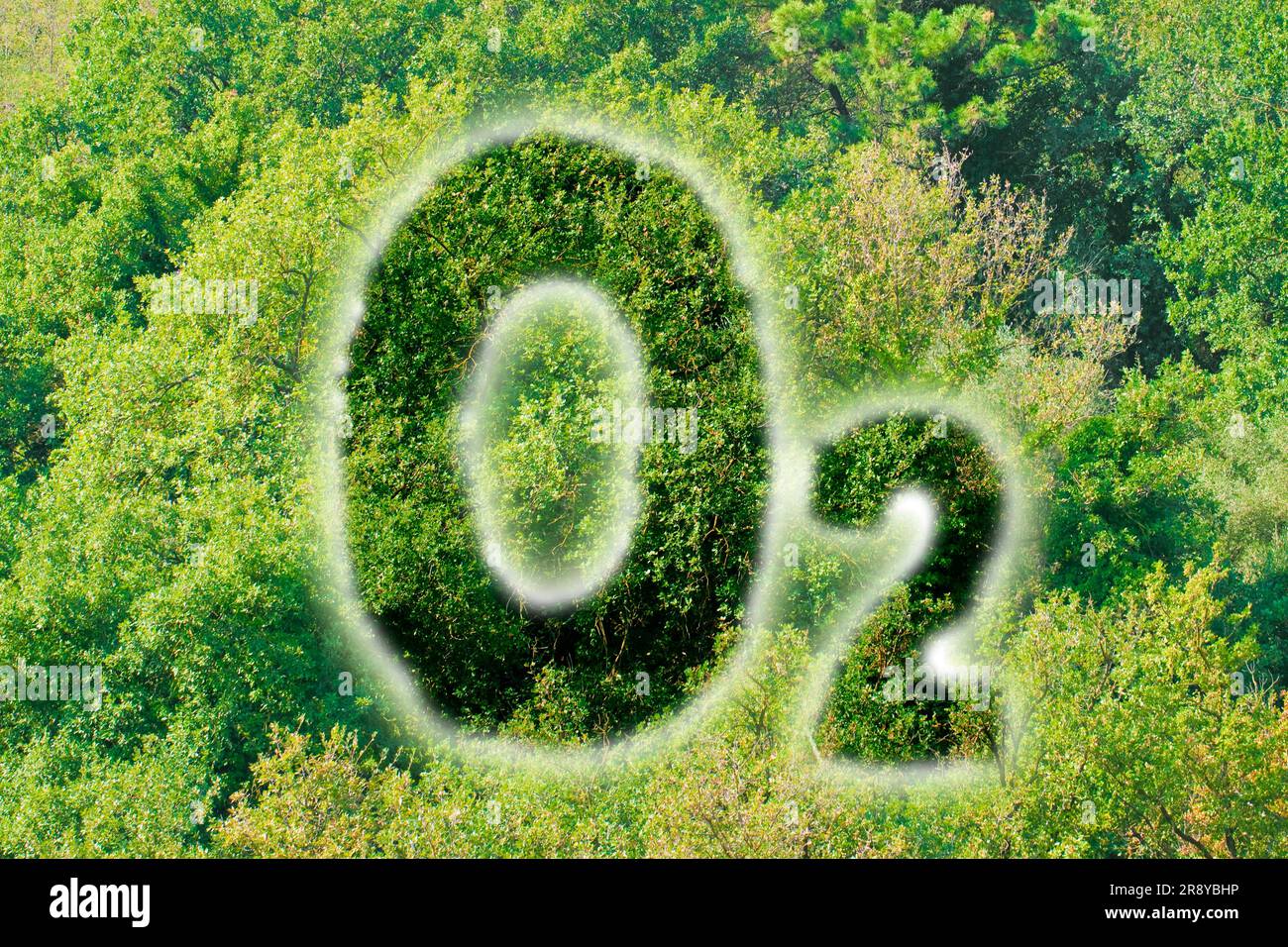 Planter plus d'arbres pour lutter contre le changement climatique - image de concept avec O2 texte contre les bois. Banque D'Images