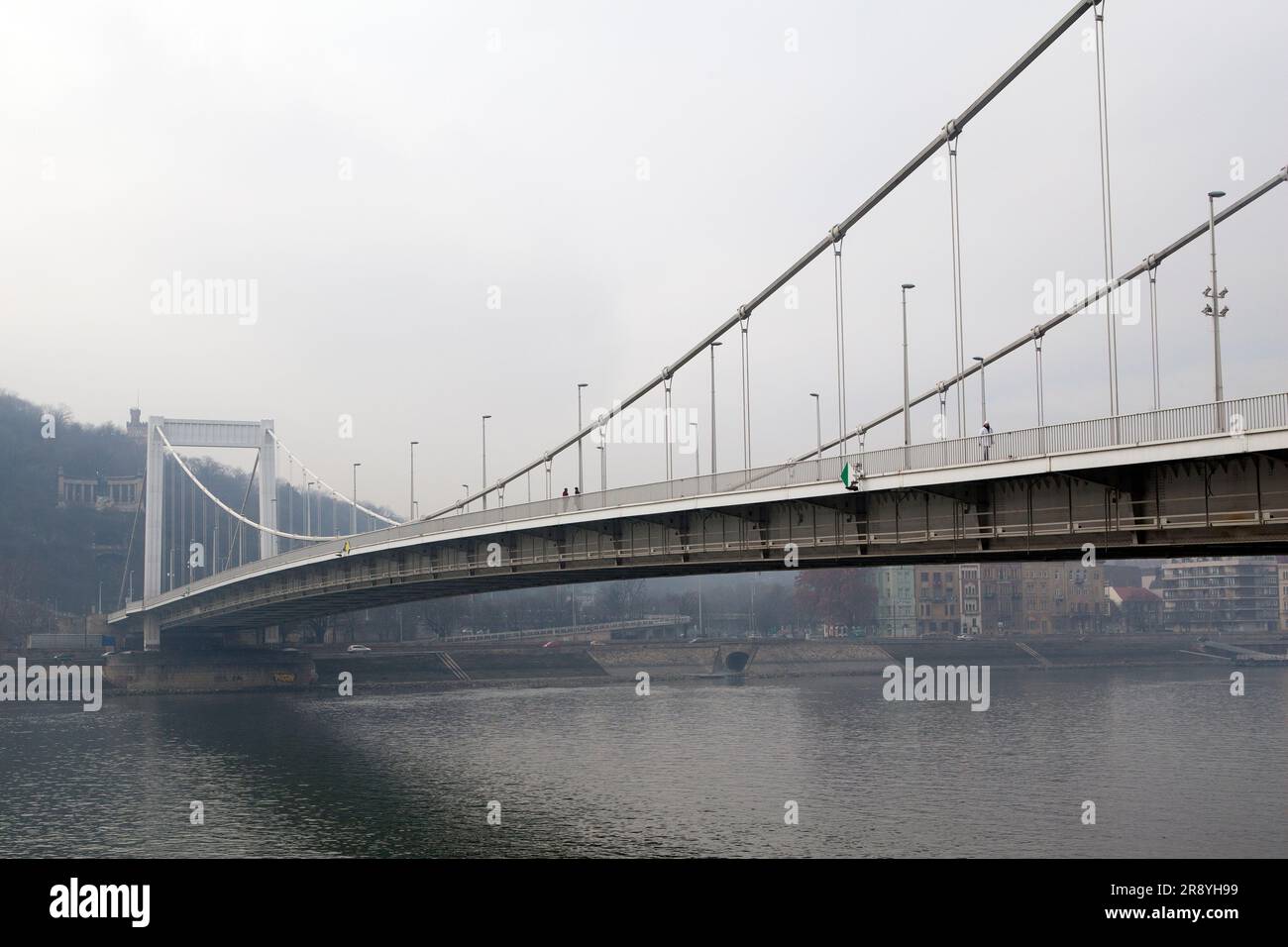 Erzsébet híd - Pont Elisabeth (Budapest, Hongrie) conçu par Pál Sávoly Banque D'Images