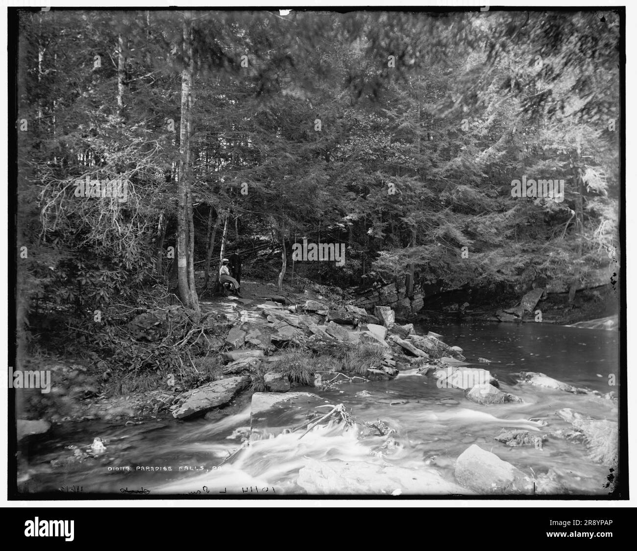Paradise Falls près de Henryville, Pennsylvanie, C1900. Banque D'Images