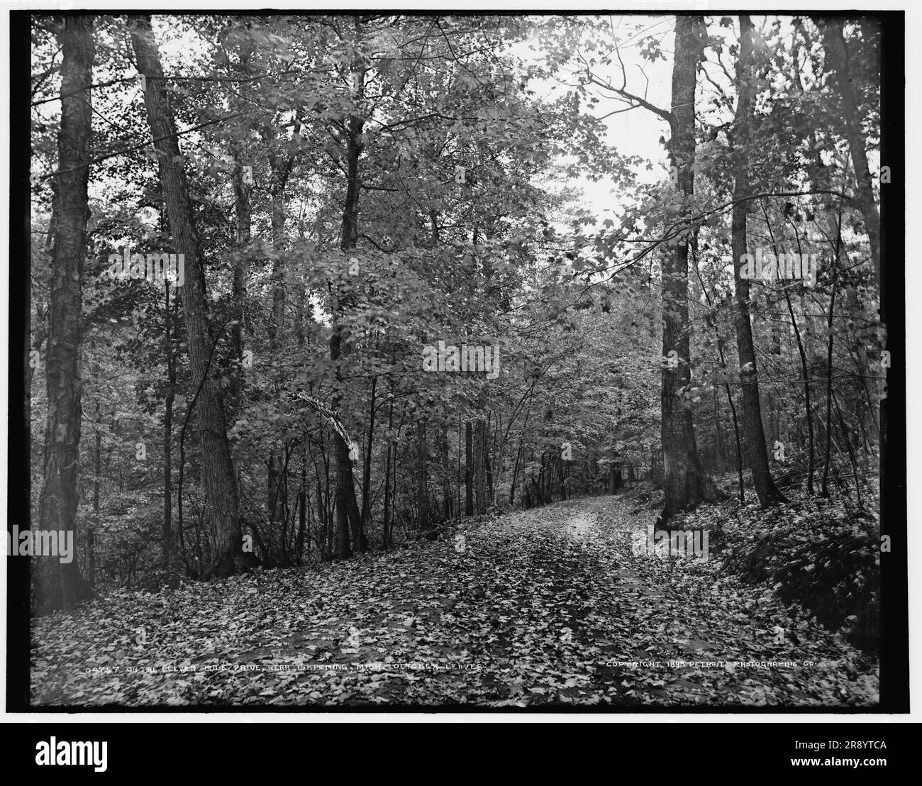Sur la route de onze miles près d'Ishpeming, Michigan, feuilles d'octobre, c1898. Banque D'Images Sur la route de onze miles près d'Ishpeming, Michigan, feuilles d'octobre, c1898. Banque D'Images
