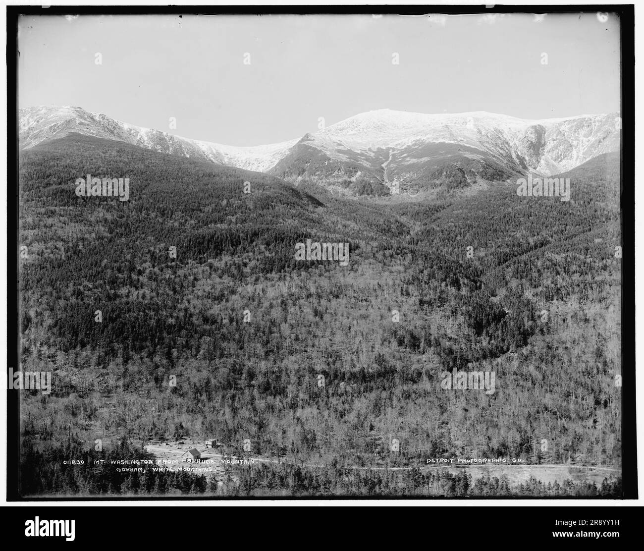 Mt. Washington de Spruce Mountain, Gorham, White Mountains, entre 1890 et 1901. Banque D'Images