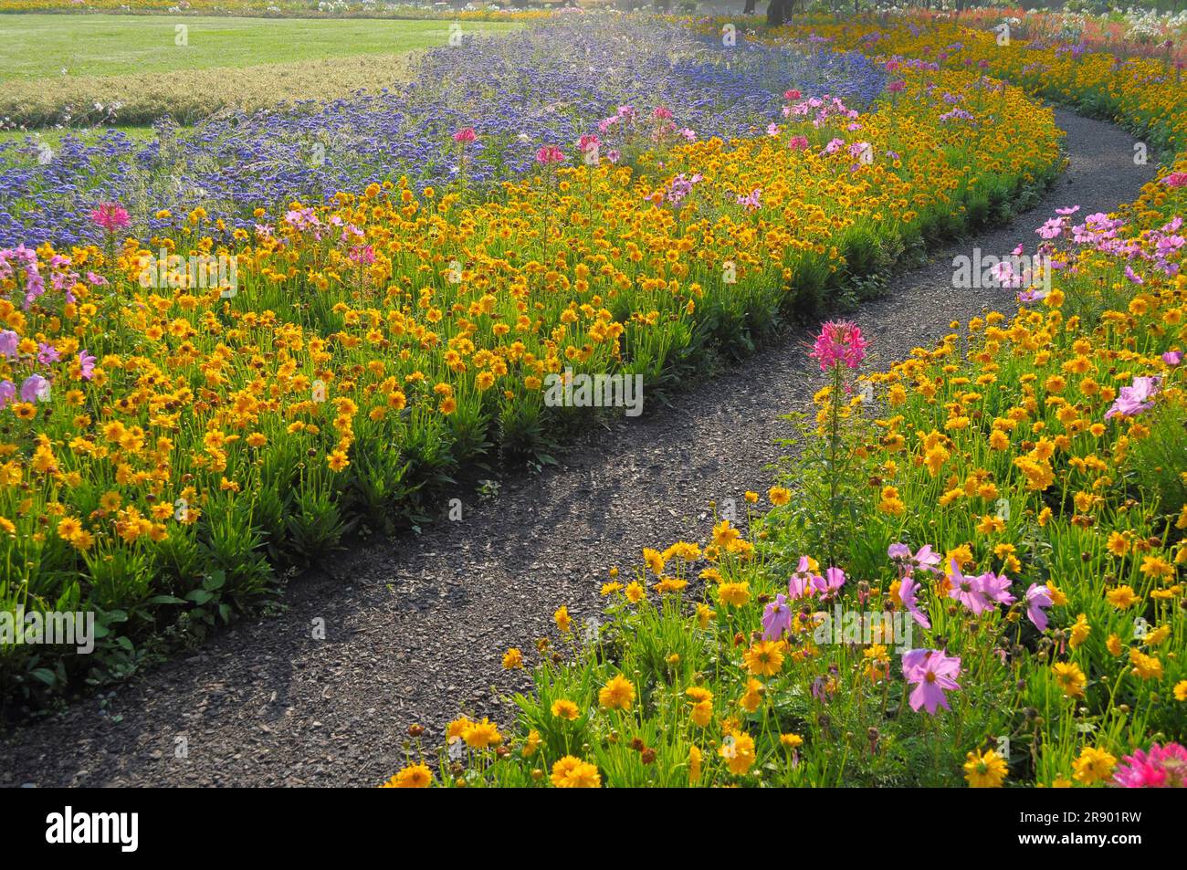 Stuttgart : Killesberg, fleurs d'été, parterres de fleurs, chemin de jardin Banque D'Images