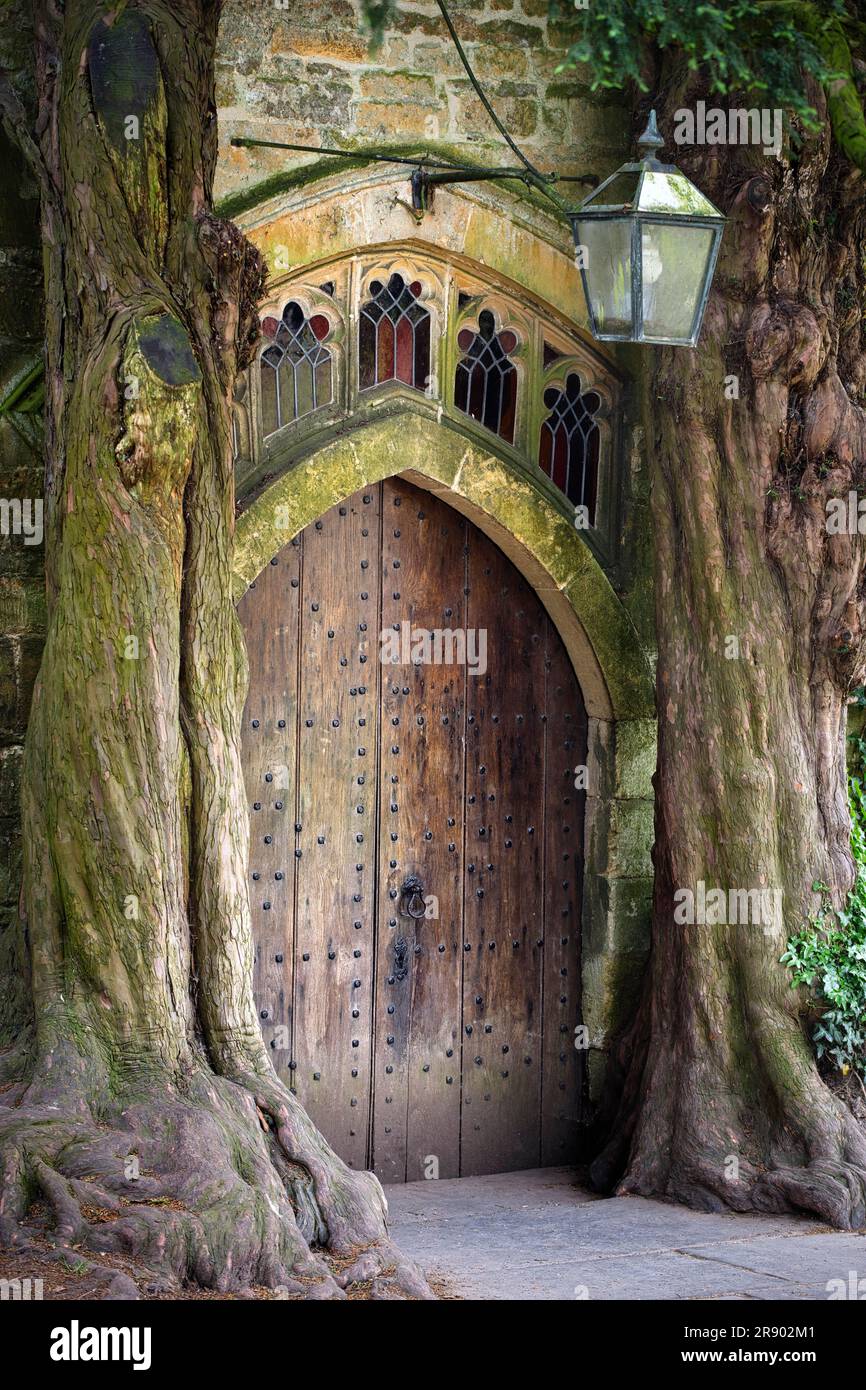 Deux vieux yew anglais (Taxus baccata) encadrent une vieille porte en bois à la porte nord de l'église Saint-Édouard, Stow-on-the-Wold, Cotswolds Banque D'Images