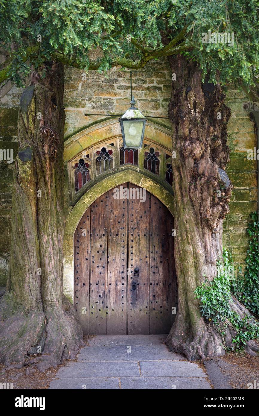 Deux vieux yew anglais (Taxus baccata) encadrent une vieille porte en bois à la porte nord de l'église Saint-Édouard, Stow-on-the-Wold, Cotswolds Banque D'Images