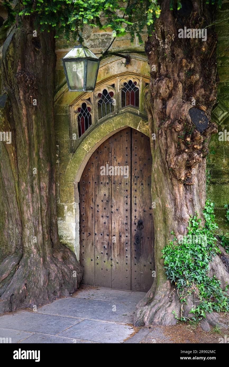Deux vieux yew anglais (Taxus baccata) encadrent une vieille porte en bois à la porte nord de l'église Saint-Édouard, Stow-on-the-Wold, Cotswolds Banque D'Images