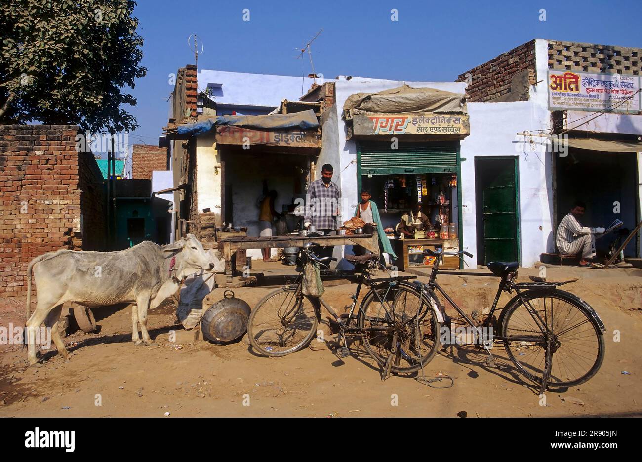 Scène de rue avec bétail, Inde Banque D'Images