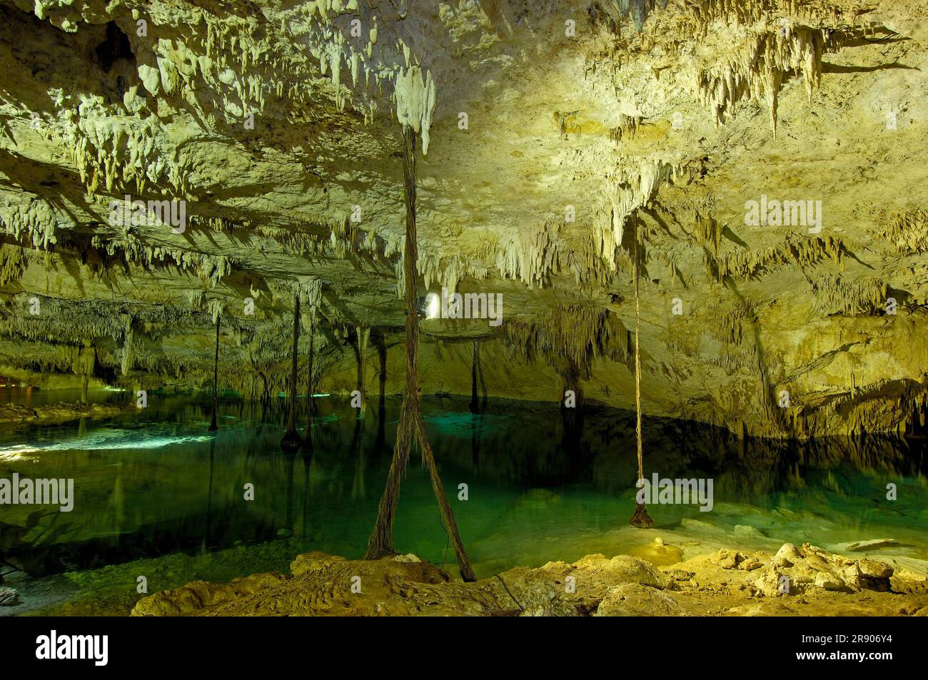 Cenote, Hidden Worlds Cenotes Park, Tulum, Riviera Maya, Quintana Roo, Yucatan, Mexique, Tulu'um Banque D'Images