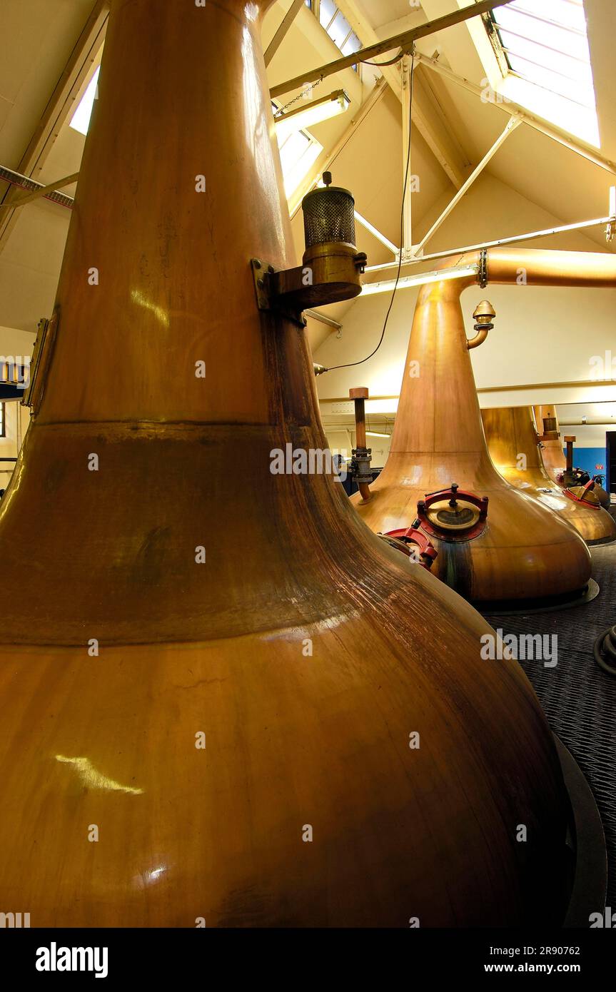 Bowling, Glen Moray Whisky Distillery, Elgin, Moray, Écosse, Cask Banque D'Images