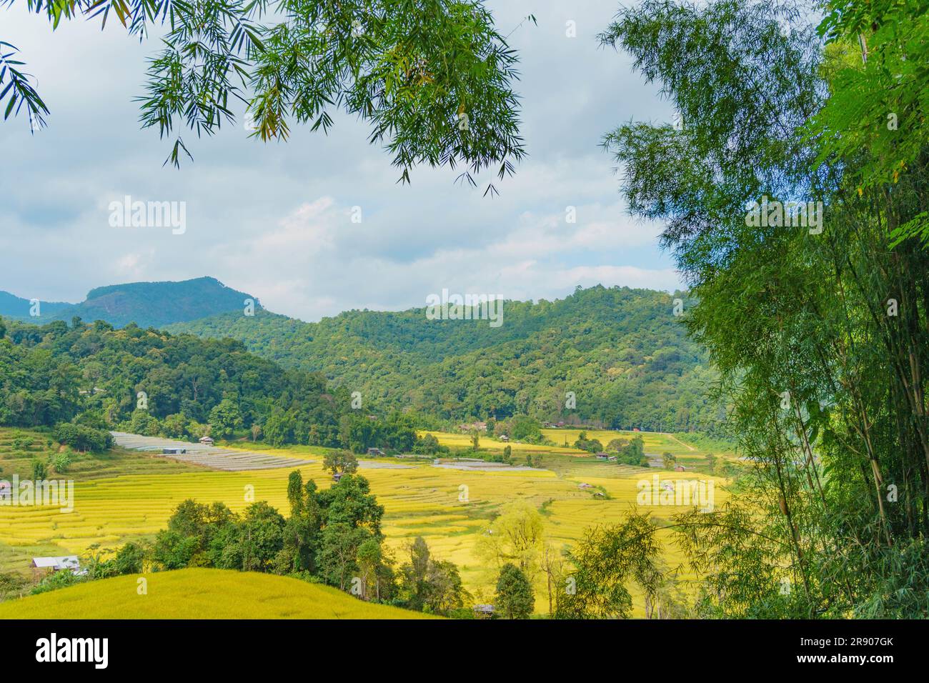 La beauté de la campagne du nord de la Thaïlande Banque D'Images