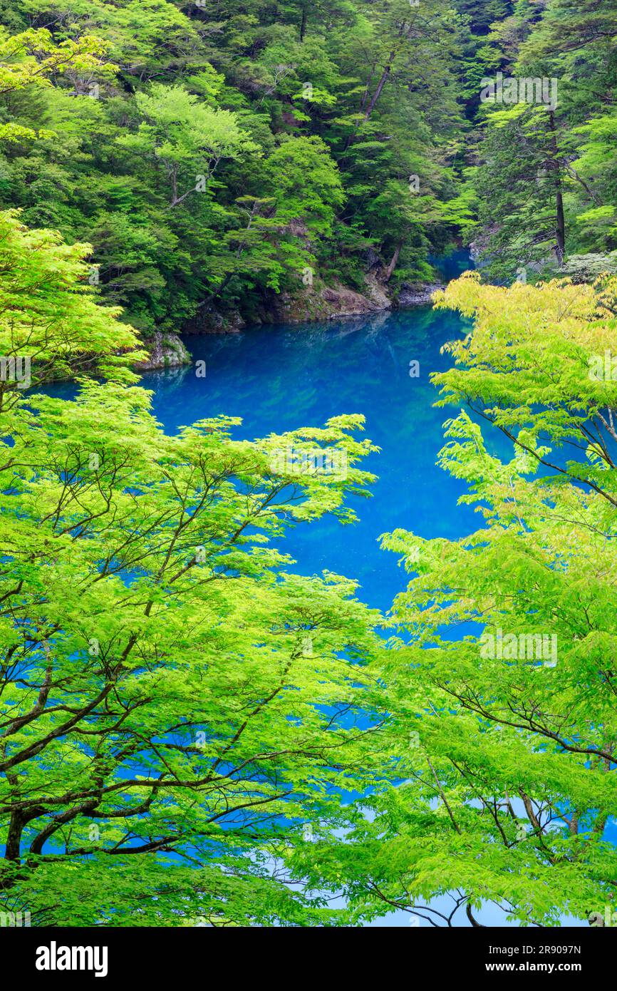 Sunmatakyo gorge en vert frais Banque D'Images