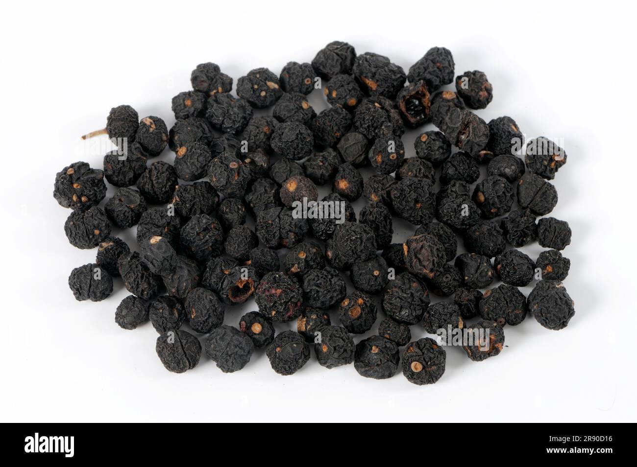 Poivre de Tasmanie (Tasmannia lanceolata), poivre de montagne, poivre d'Australie, poivre de poivre, grains de poivre Banque D'Images