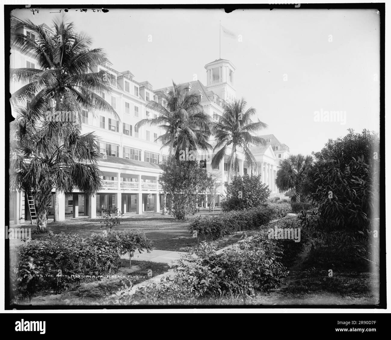 The Royal Poinciana, Palm Beach, Floride, c1902. Banque D'Images The Royal Poinciana, Palm Beach, Floride, c1902. Banque D'Images