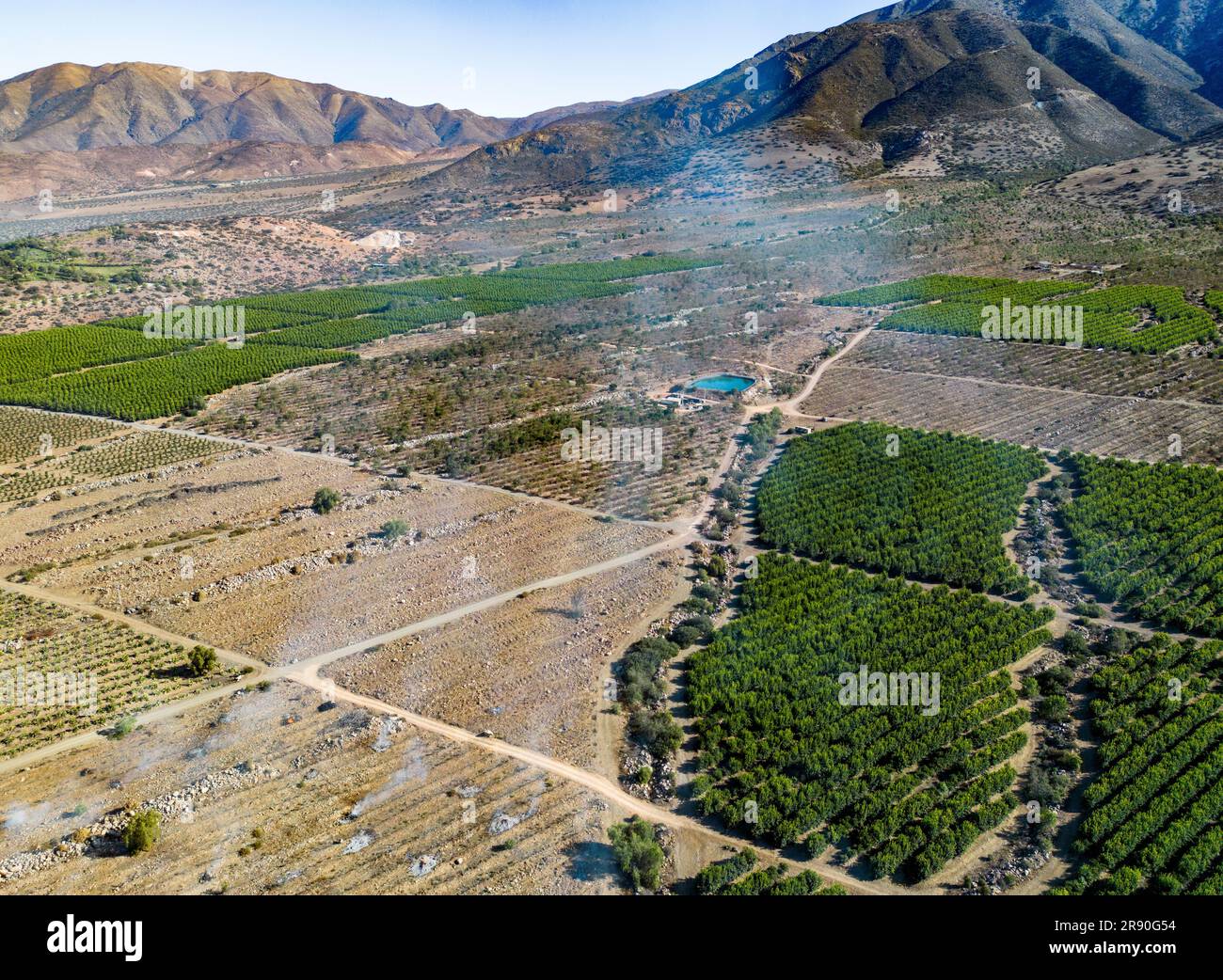 Vue aérienne de la citriculture à Petorca au Chili, Amérique du Sud - plantation d'agrumes Banque D'Images