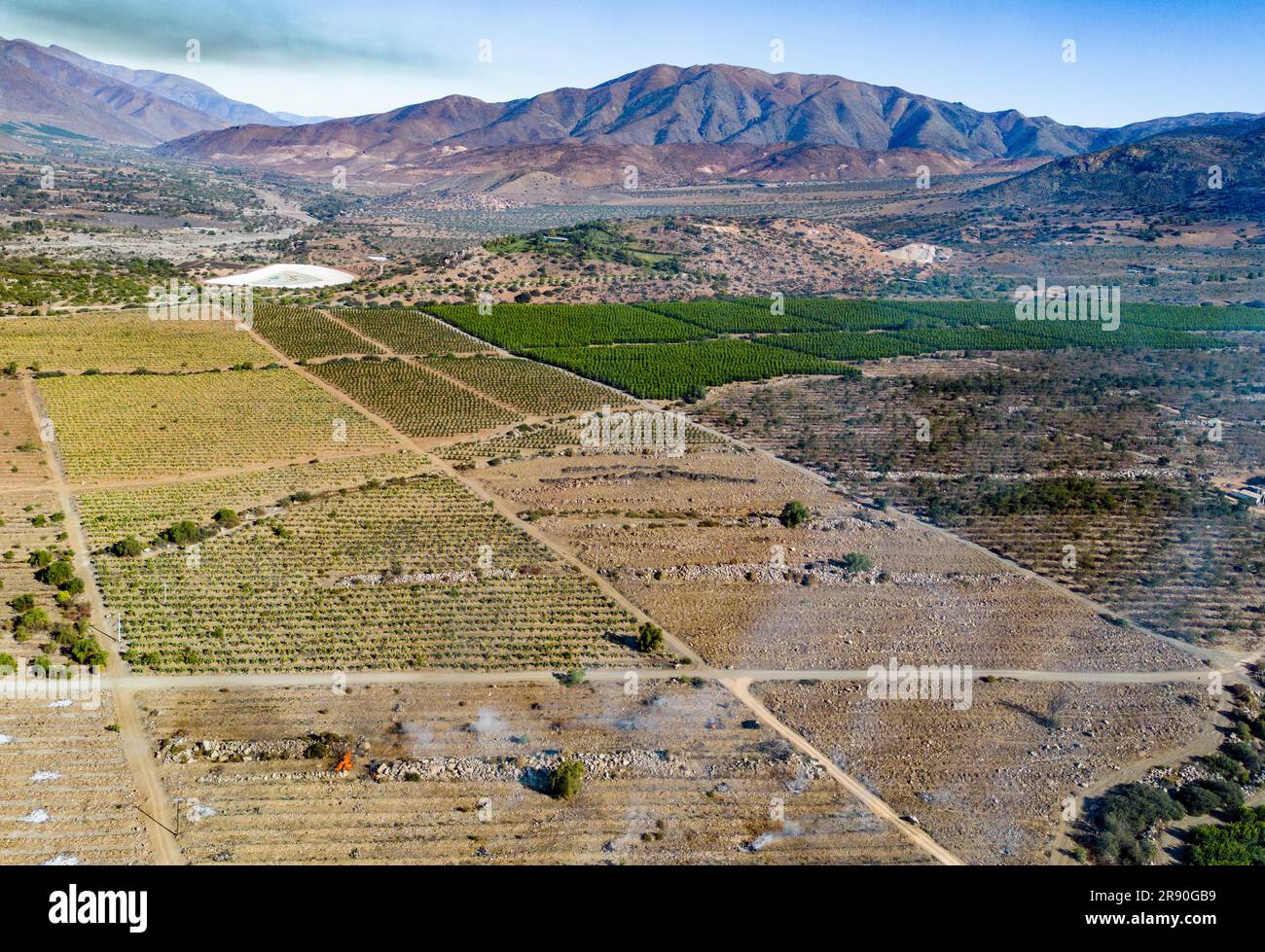 Vue aérienne de la citriculture à Petorca au Chili, Amérique du Sud - plantation d'agrumes Banque D'Images