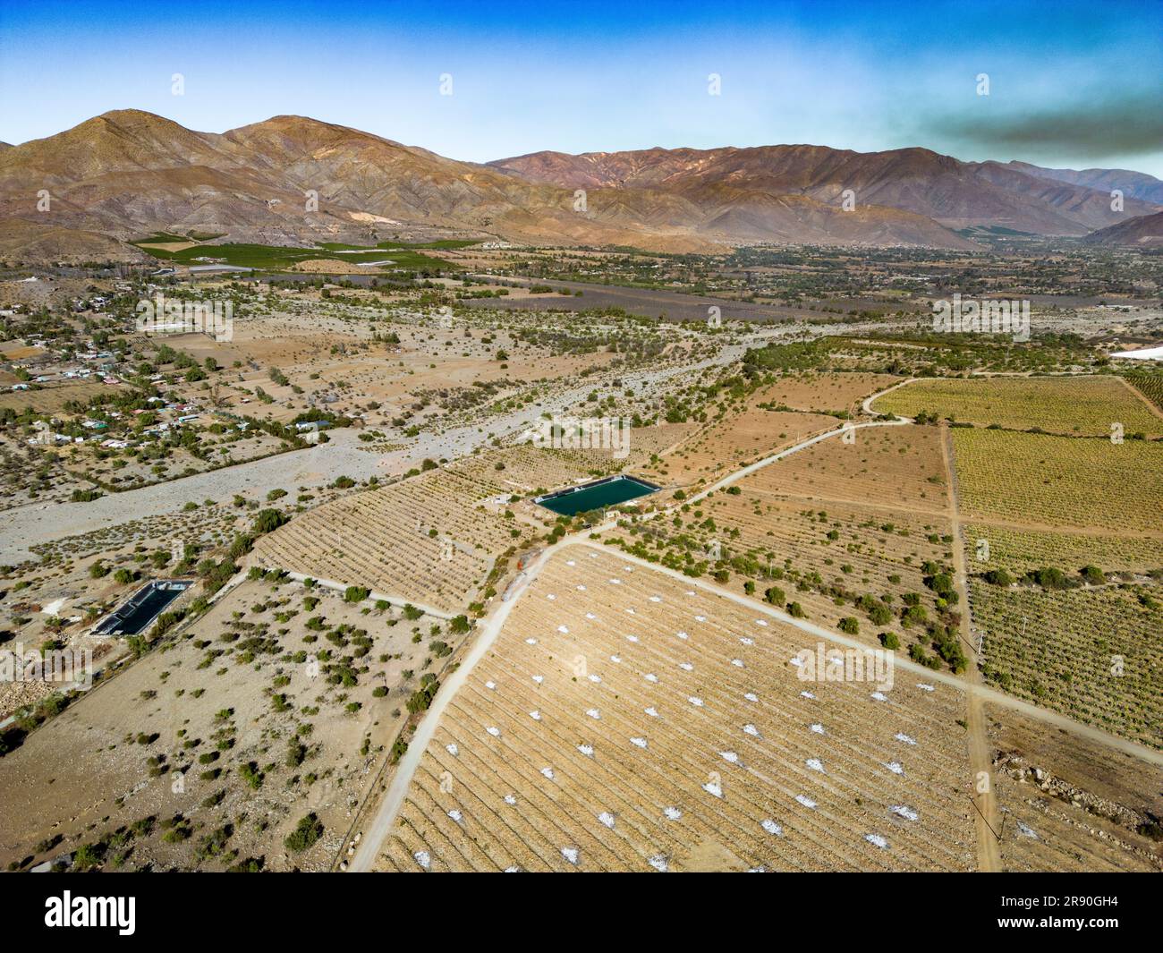 Vue aérienne de la citriculture à Petorca au Chili, Amérique du Sud - plantation d'agrumes Banque D'Images