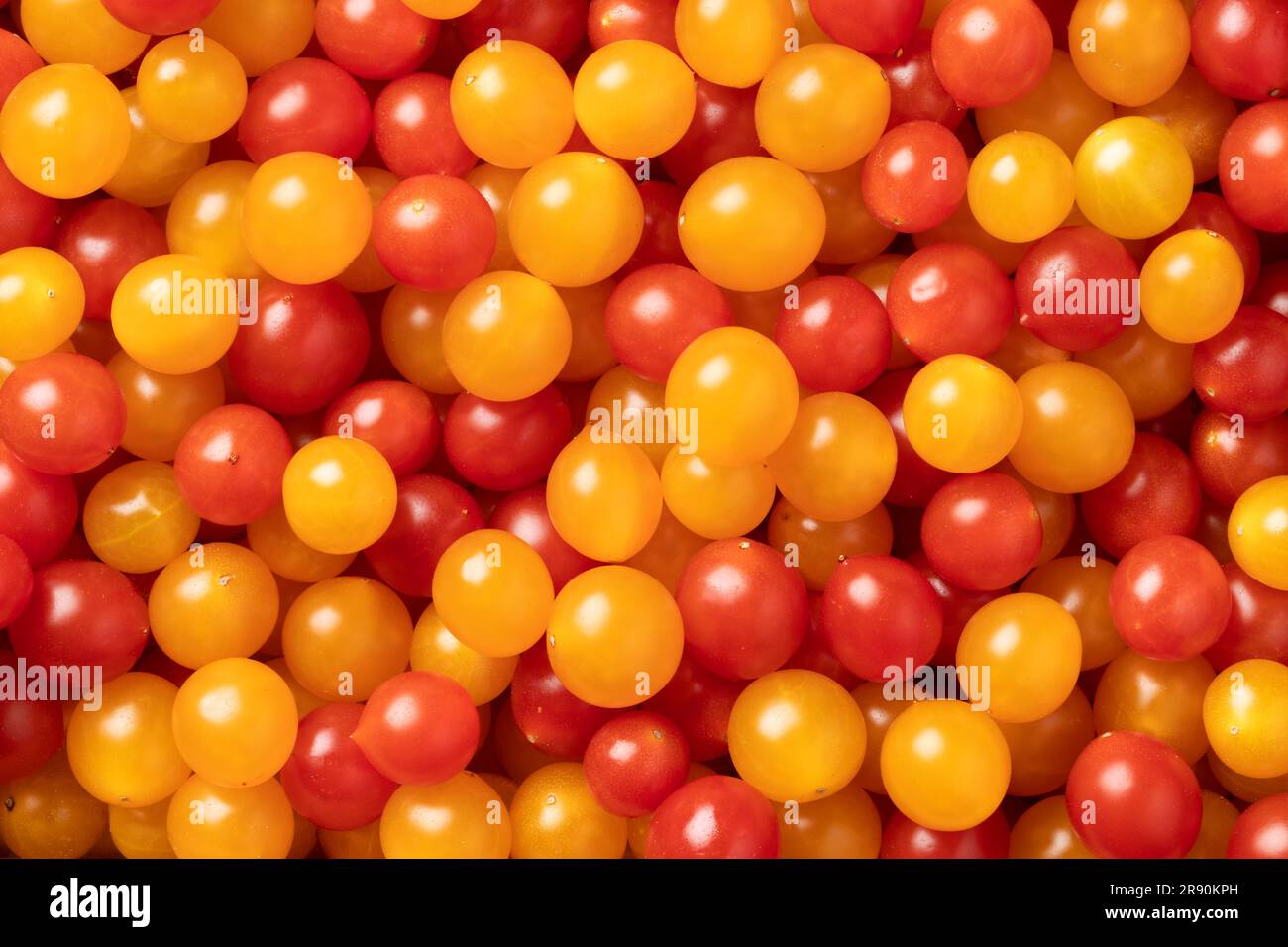 Les tomates Tombereau rouges et jaunes se rapprochent du plein cadre comme arrière-plan Banque D'Images