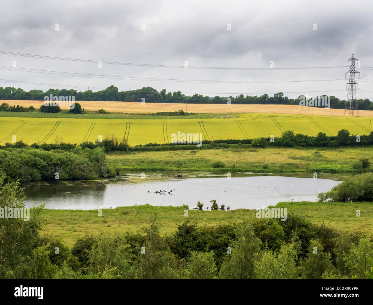 Réserve naturelle de Fairburn ings près de Swillington, dans le Yorkshire, au Royaume-Uni, qui était autrefois une ancienne mine de charbon à ciel ouvert. Banque D'Images