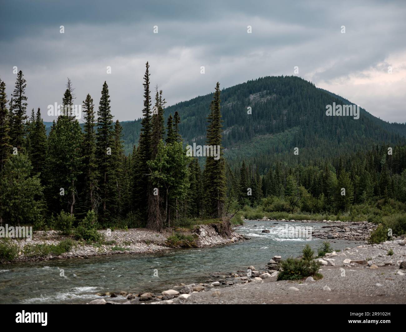 La beauté naturelle du parc provincial de Bragg Creek, en Alberta, au ...