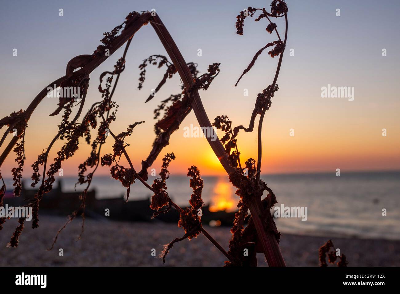 Whitstable North Kent , Angleterre Royaume-Uni - coucher de soleil sur l'estuaire de la Tamise Banque D'Images