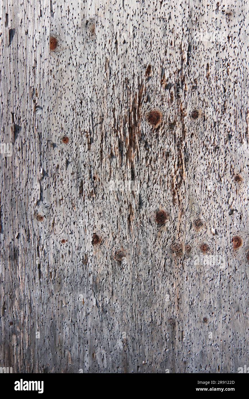 Vieux panneau en bois de message - détail abstrait Banque D'Images