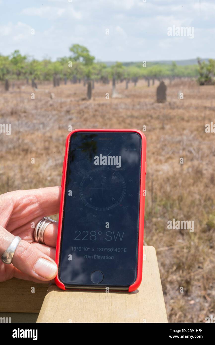 Une main tient un téléphone portable pour vérifier la direction des monticules de termites magnétiques à Litchfield, territoire du Nord de l'Australie Banque D'Images