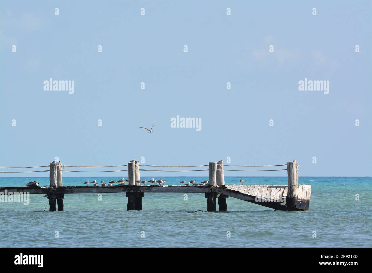 Le soleil blanchit l'embarcadère abandonné à Cancun au Mexique Banque D'Images