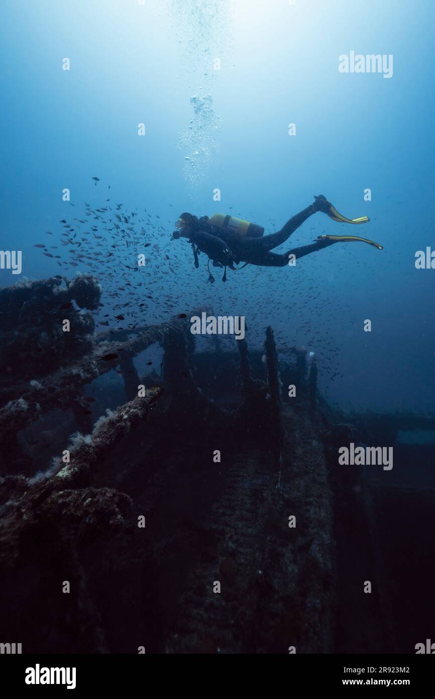 Une jeune femme plongée sous-marine et examine le navire submergé El Naranjito sous-marin Banque D'Images