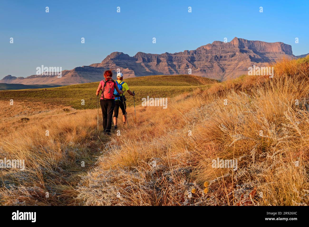 Homme et femme en randonnée par beau temps au KwaZulu-Natal, Drakensberg, Afrique du Sud Banque D'Images