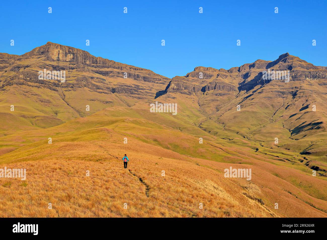 Femme randonnée par beau temps au KwaZulu-Natal, Drakensberg, Afrique du Sud Banque D'Images