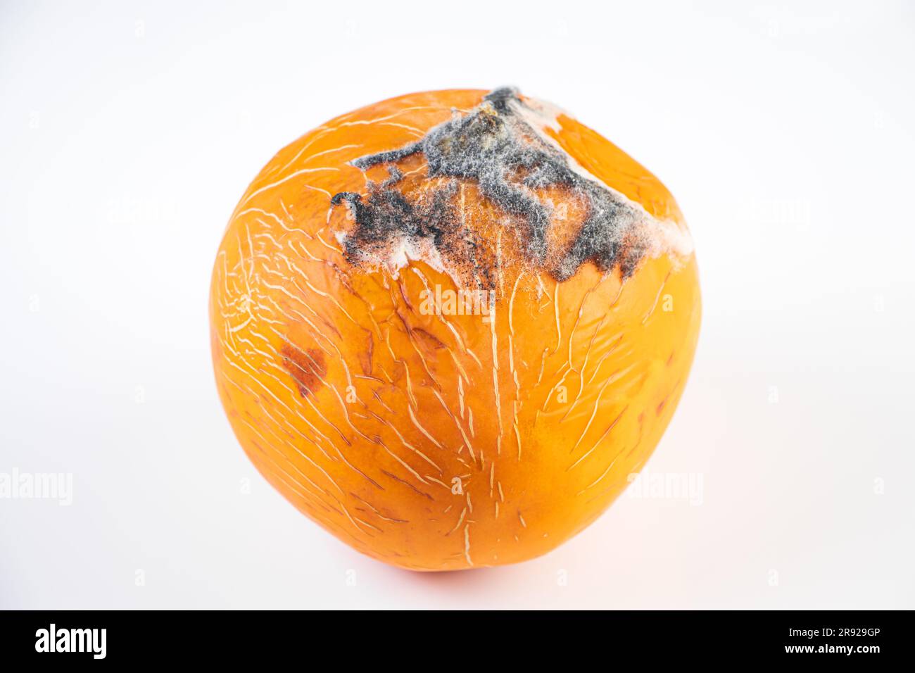 Gros plan de la moisissure sur les fruits. Melon moldy. Nourriture pourrie gâtée. Entreposage inadéquat des légumes. Banque D'Images