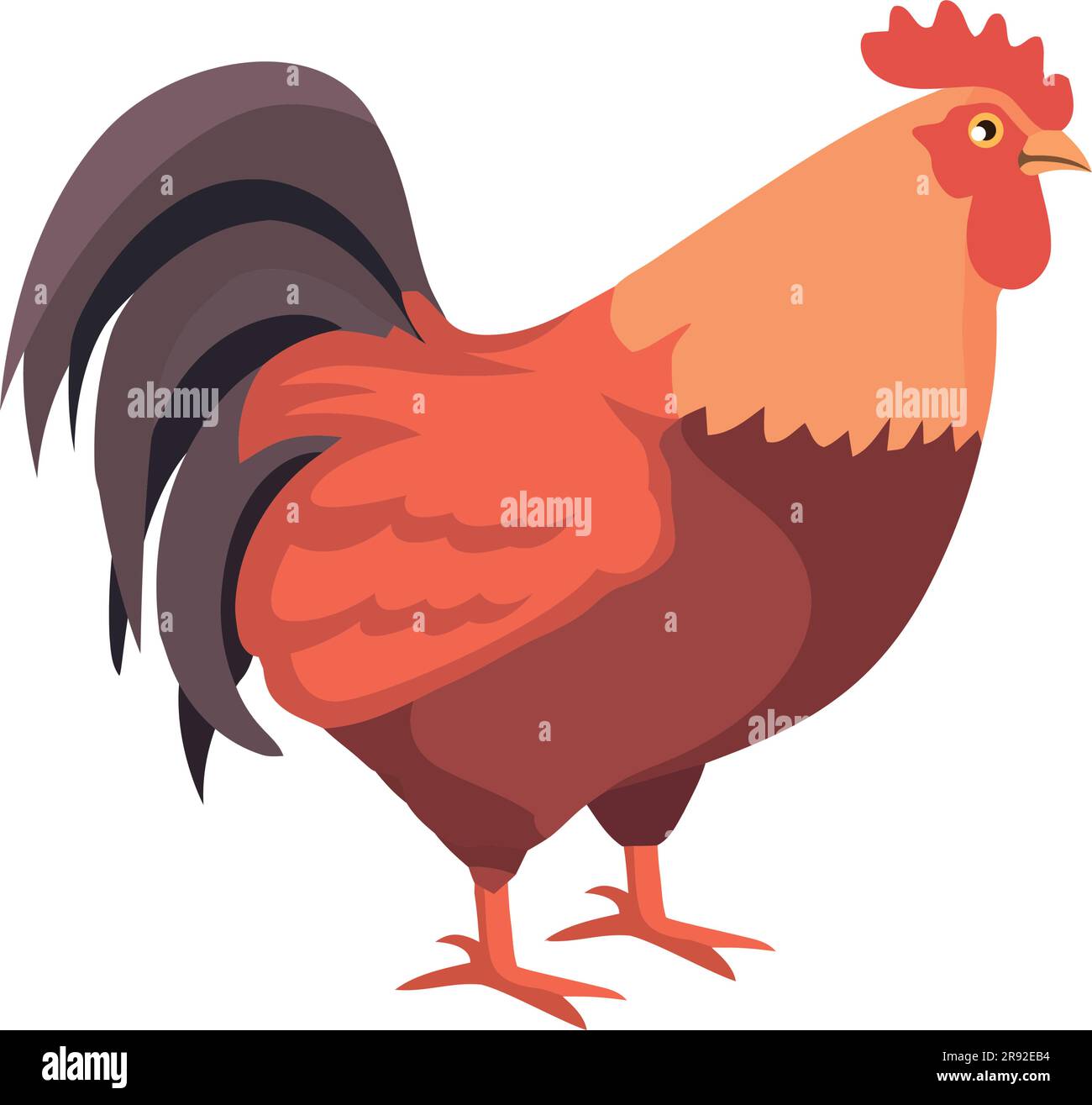 Adorable coq debout sur l'herbe, croquant fort Illustration de Vecteur