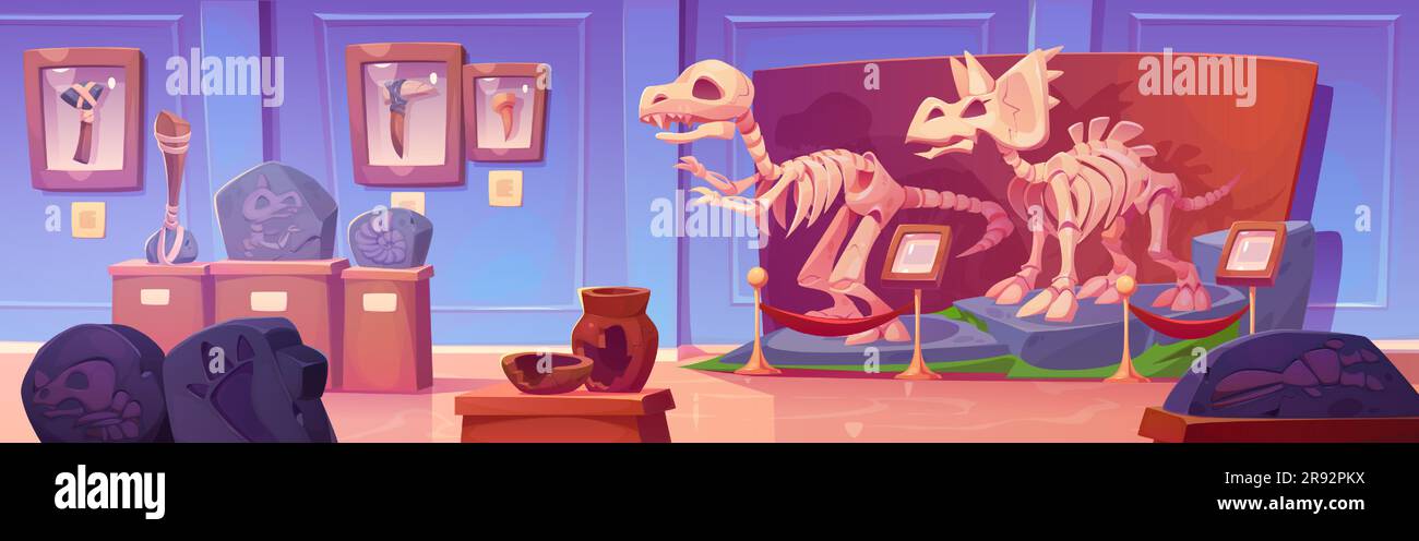 Squelette de dinosaure fossile dans l'illustration de la bande dessinée du musée d'histoire. OS de dino Jurassic et empreinte de rex exposition sur le piédestal dans la galerie avec panneau. Tricératops et tyrannosaurus découverte préhistorique Illustration de Vecteur