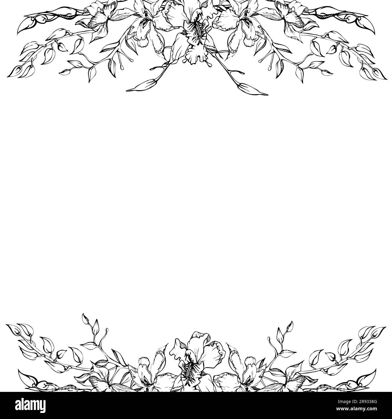 Fleurs et branches d'orchidées à encre vectorielle dessinées à la main, monochrome, contour détaillé. Composition de cadre carré. Isolé sur fond blanc. Conception pour Illustration de Vecteur