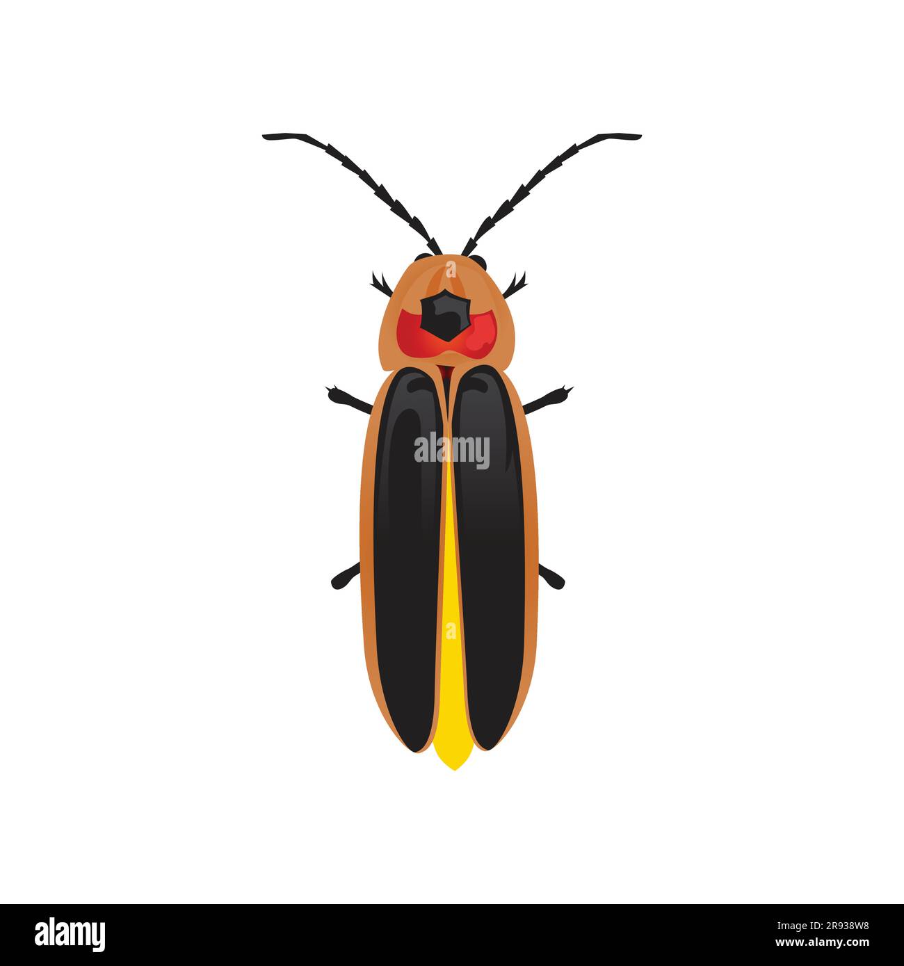 Firefly vivant, insecte Lampyridae, insecte Bug, Bug Illustration de Vecteur