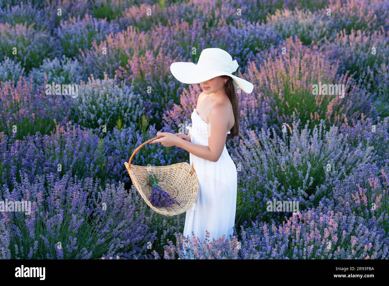 Jeune fille dans une robe et un chapeau dans le parc de lavande. jeune fille avec lavande dans le champ. Jeune fille avec fleur de lavande debout dans le champ. jeune fille avec Banque D'Images