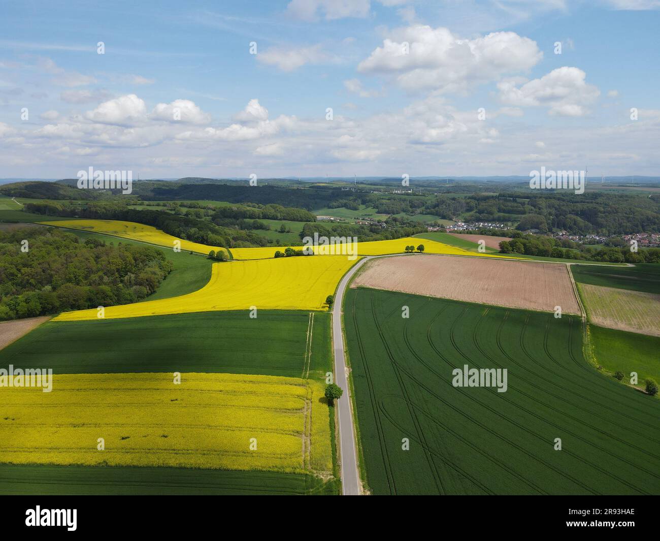 Vue d'en haut d'un paysage avec champ de blé en pleine croissance, champ de canola en fleurs, une route et un ciel bleu agréable avec des nuages blancs au printemps Banque D'Images