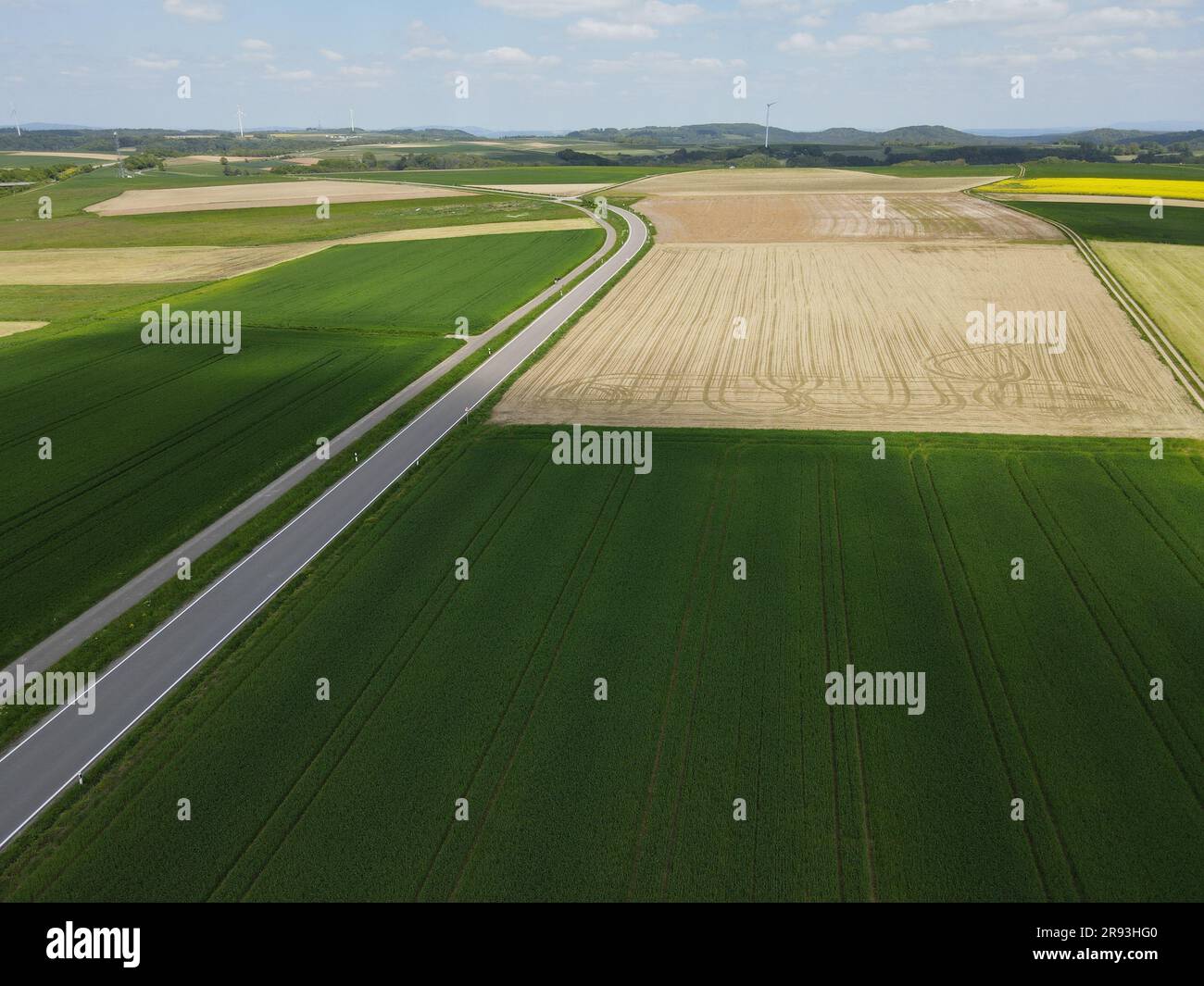 Vue aérienne d'une route asphaltée entre la culture des champs agricoles avec du blé et du sol au printemps Banque D'Images