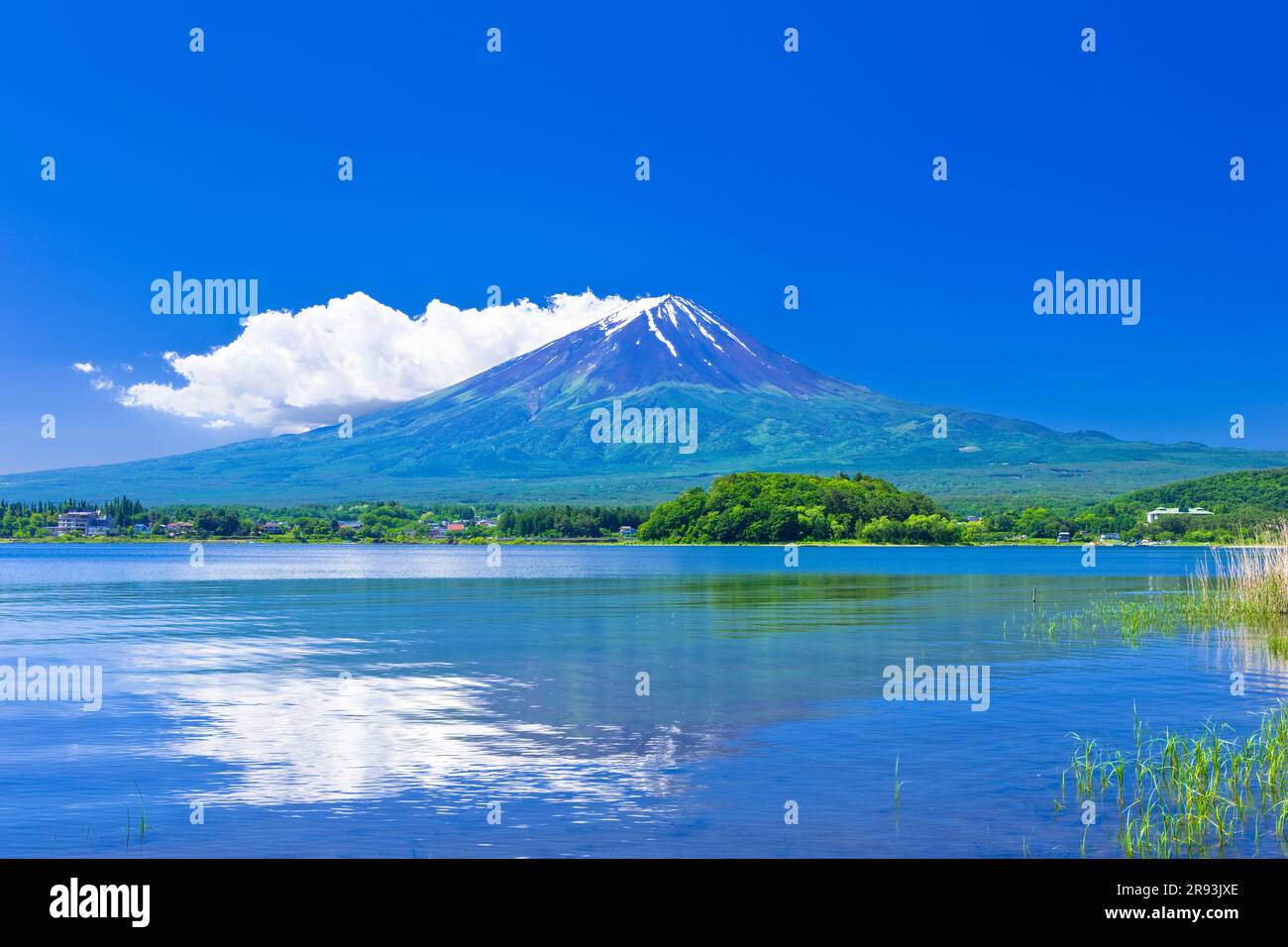 Mt. Fuji et le lac Kawaguchiko Banque D'Images