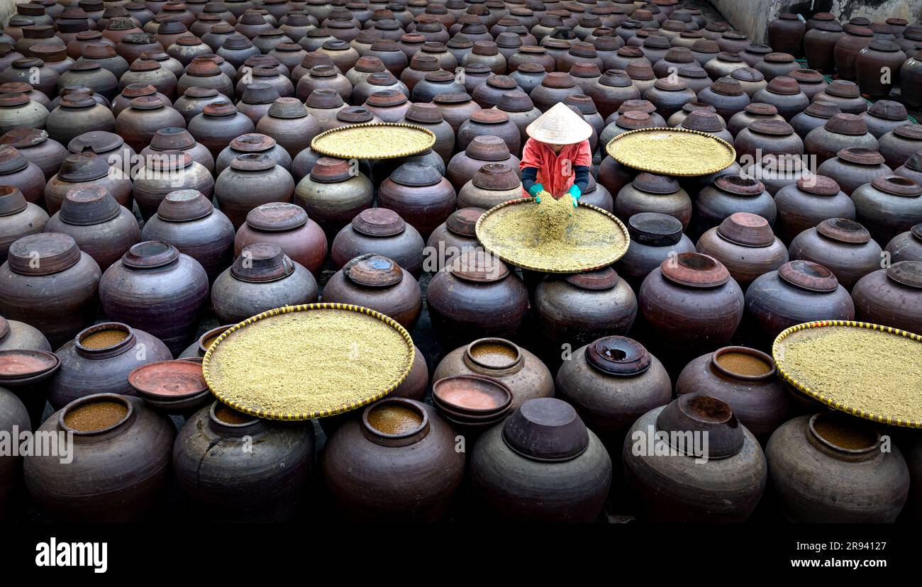 Usine traditionnelle de sauce soja, où les graines de soja sont fermentées pour produire la