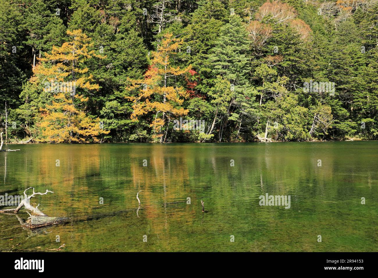 Couleurs d'automne et étang de Myojin à Kamikochi Banque D'Images