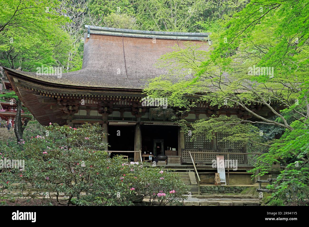 Hall principal du temple de Muroji Banque D'Images