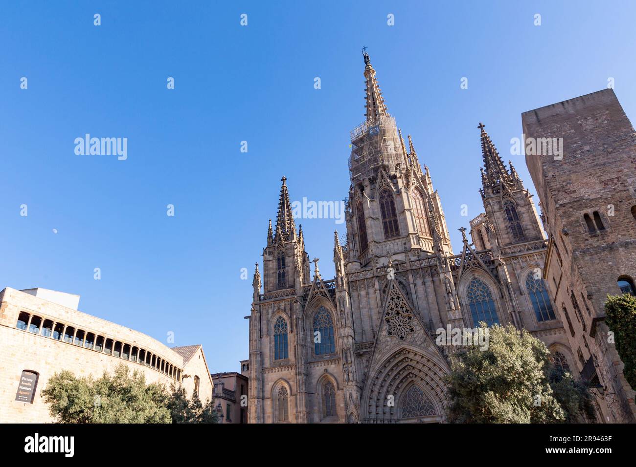 Photos De Cathédrale Sainte-croix De Barcelone La cathédrale Sainte-Croix et Saint-Eulalia, la cathédrale de Barcelone