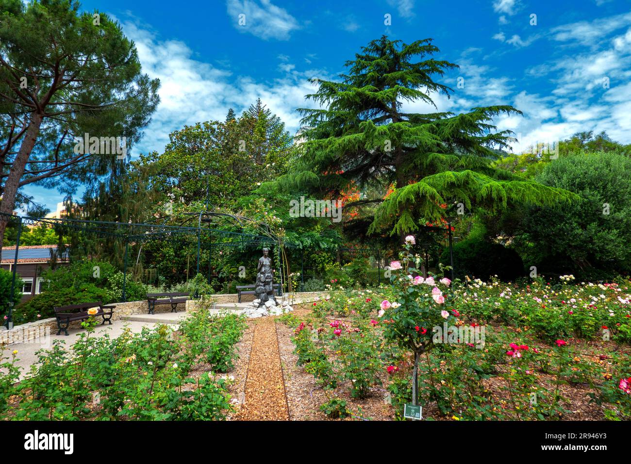 Le jardin de roses de la princesse Grace à Monaco, créé en 1984 comme mémorial à Grace Kelly, épouse du prince Rainier III Banque D'Images