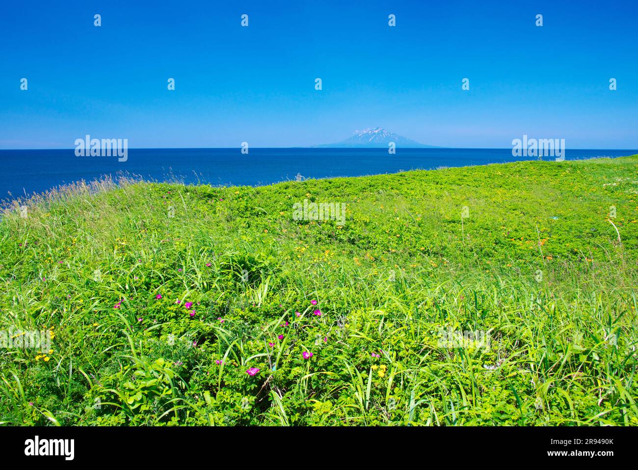 Île de Rishiri et plaine de Sarobetsu Banque D'Images