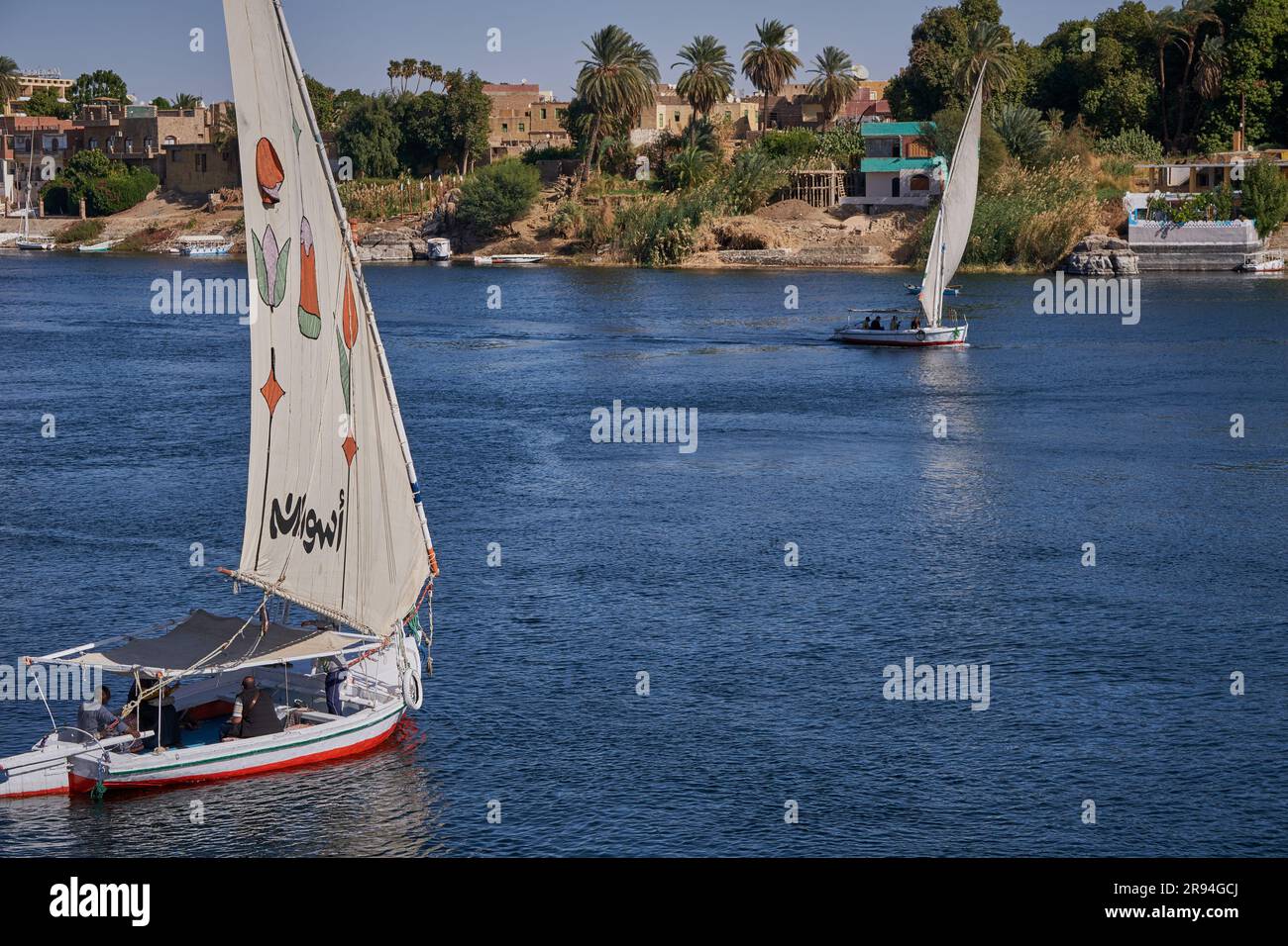 Fleuve du Nil à Assouan, Égypte photo de l'après-midi montrant la vue du jardin botanique d'Assouan avec des feluccas et des bateaux dans le fleuve Banque D'Images
