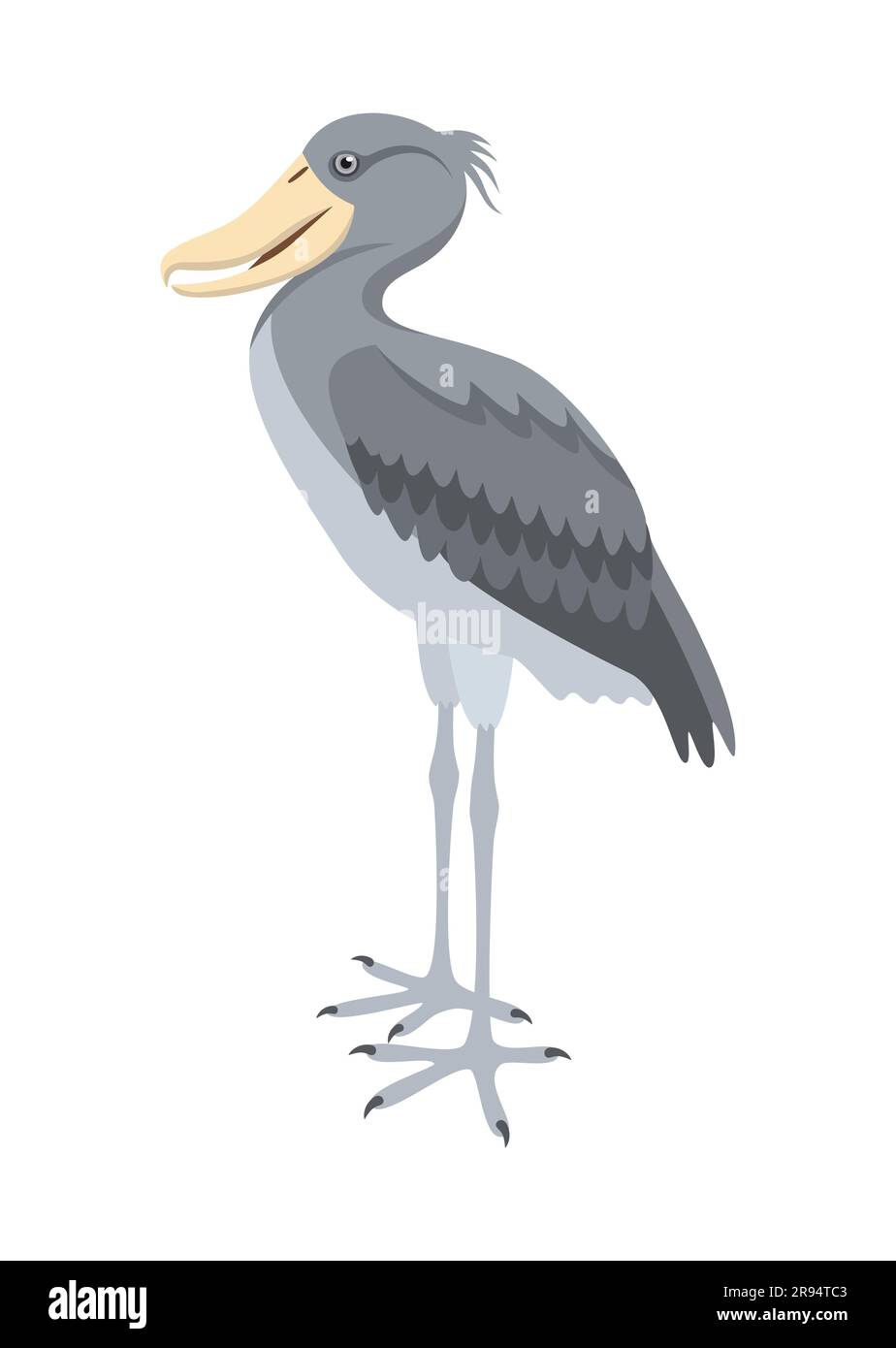 Shoebill Stork ou Balaeniceps rex isolés sur fond blanc. Illustration vectorielle de style plat Illustration de Vecteur