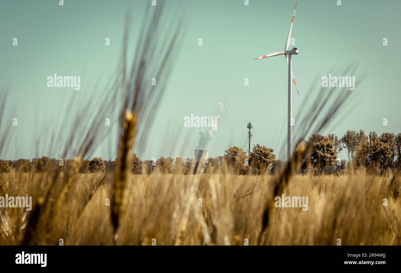 Éolienne dans le champ de maïs à Grevenbroich Allemagne Banque D'Images