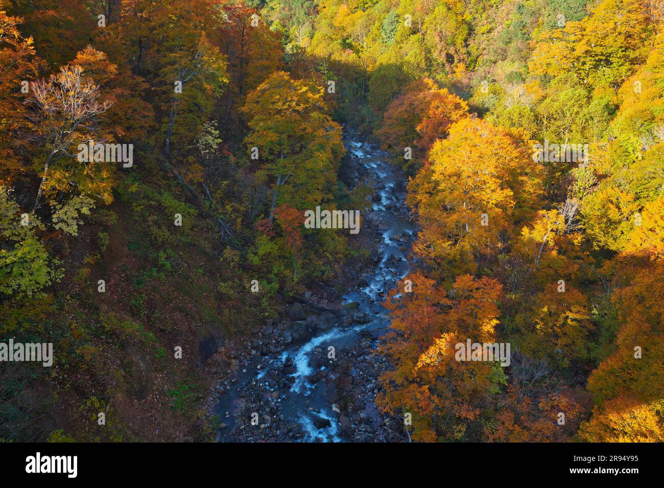 Couleurs d'automne de Shintamagawa Onsen Banque D'Images