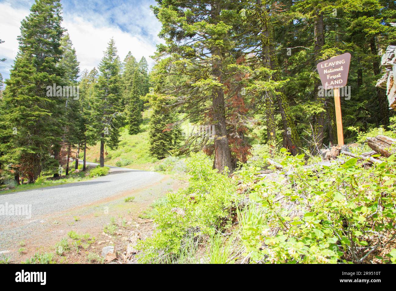 Un panneau dans la forêt nationale de Modoc avertit les voyageurs qu'ils quittent la forêt nationale et entrent dans des terres privées Banque D'Images